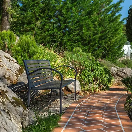 Salvia Case de vacanță