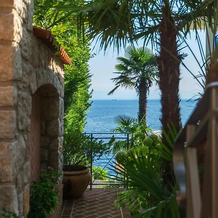 Salvia * אופטיה