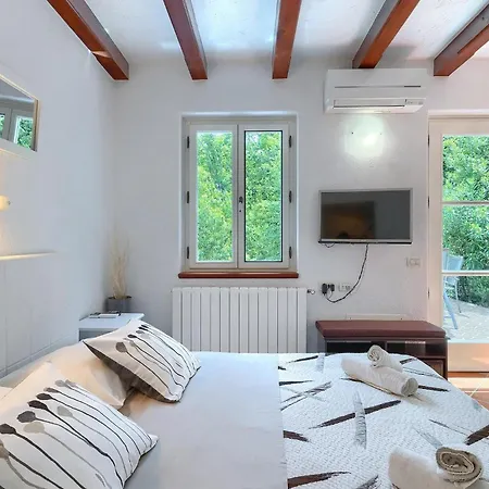 Salvia * אופטיה